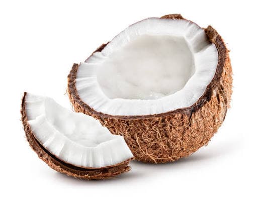Coconut