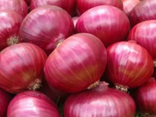 Onion (Bulb) — Yar Aleiro