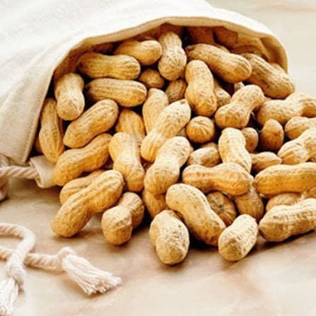 Groundnut in Shell