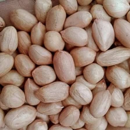 Groundnut (Shelled)