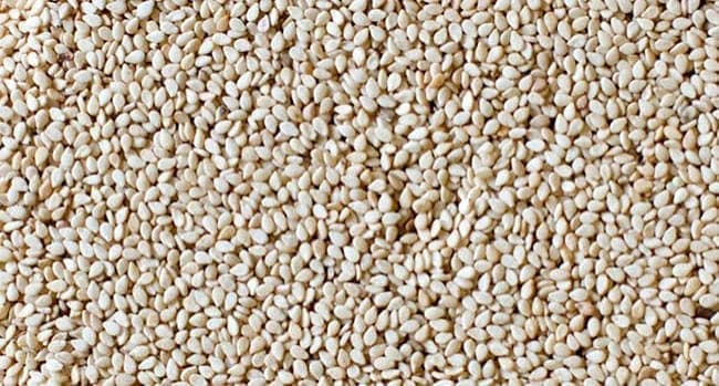 Sesame Seed