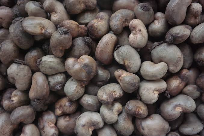 Cashew Kernel