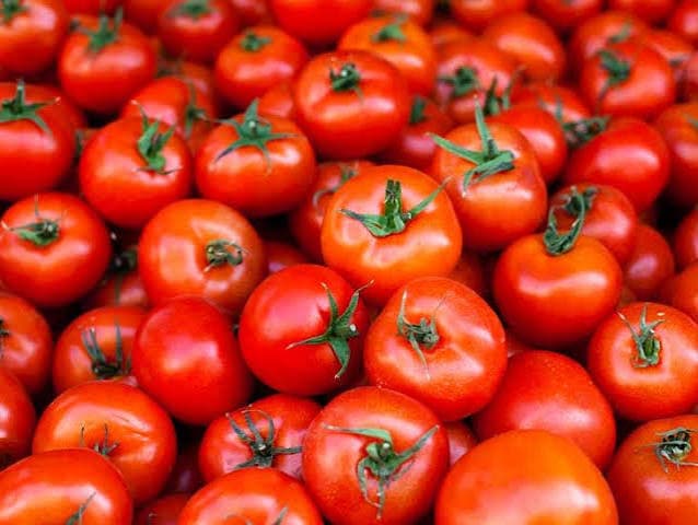 Tomato (Fresh)