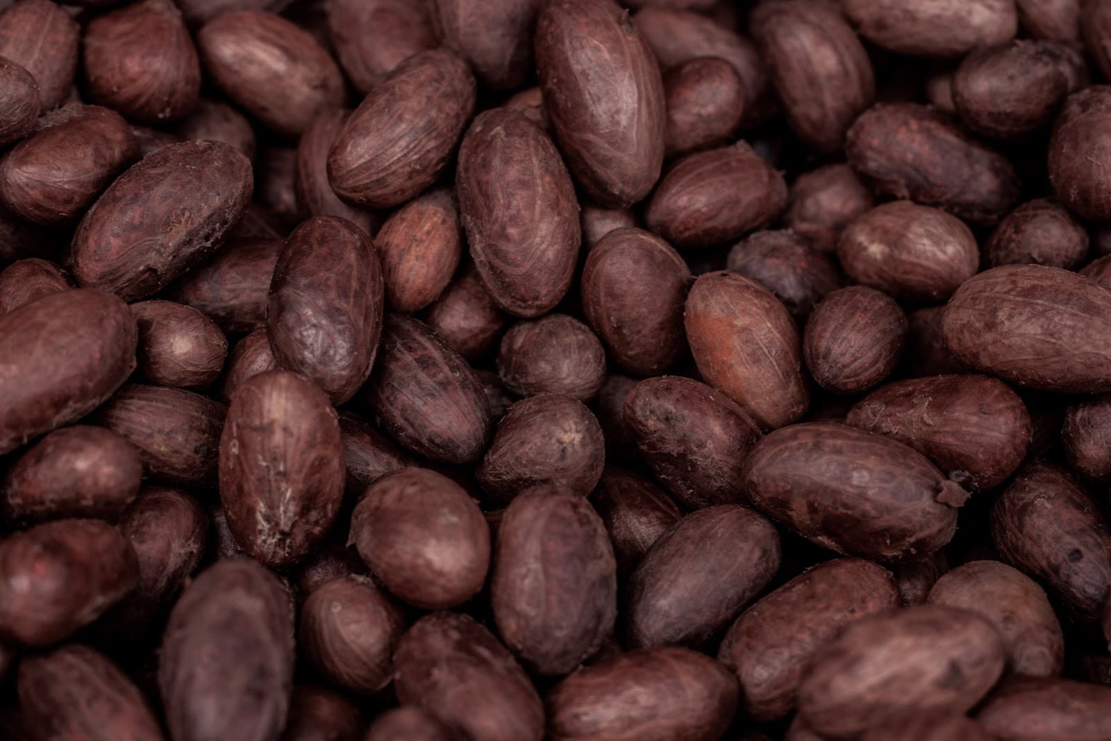 Cocoa Beans
