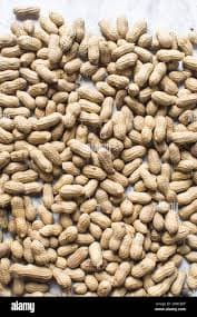 Groundnut (In-shell)