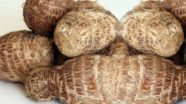 Cocoyam — Green