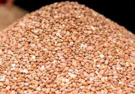 Cowpea (Brown Beans)